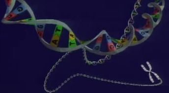 遗传学与基因组学有什么相同和不同 