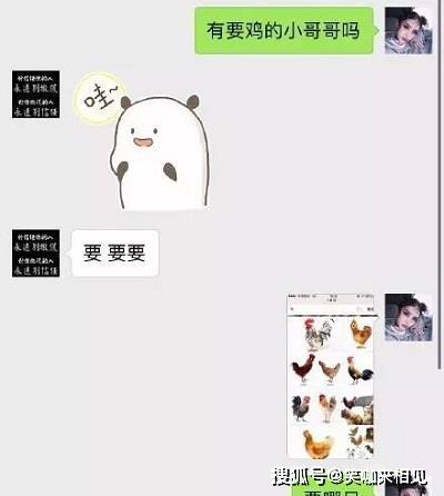 搞笑段子 女闺蜜和我前男友结婚一个月,再次见面后我嘲讽的说