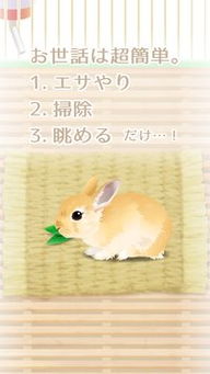 兔子安卓版下载 兔子 v1.0手机版下载 D9下载站 