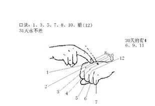 一个月有多少天 