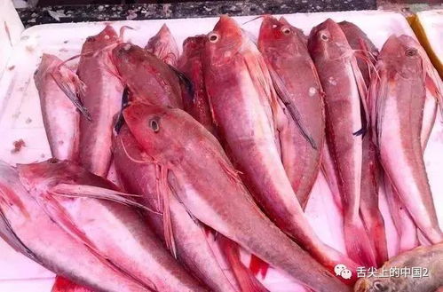 要吃鱼,就买这4种野生鱼,目前还无法人工养殖,可以放心吃