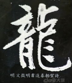 龙 字有多少种写法 