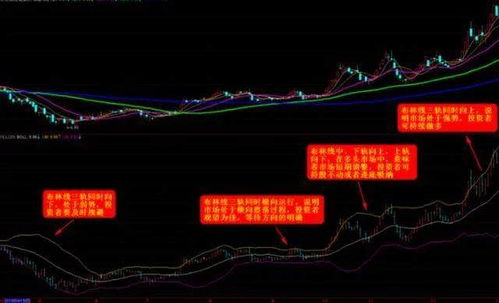 不要太分散兵力 持有股票的只数不能太多是股票投资的重要纪律