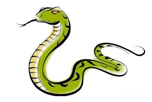 蛇蛇蛇 最忌讳什么颜色,幸运数字是几,2月上旬要小心什么人