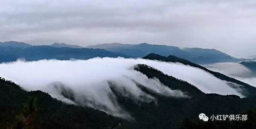 还记得那对 历险天姥山 的上海母女吗 上海妈妈又来天姥山了 并写了篇美文