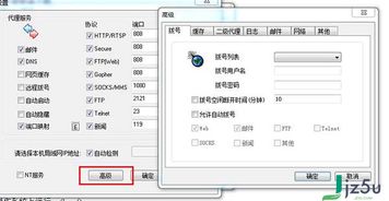 ccproxy6.2绿色版