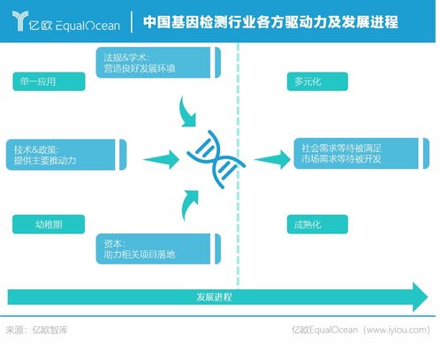 这7年