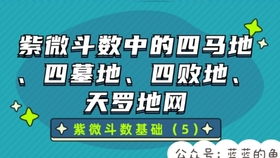 抖音如何制作快闪文字视频 就是那种在屏幕上快速闪现的文字视频 文字动画制作