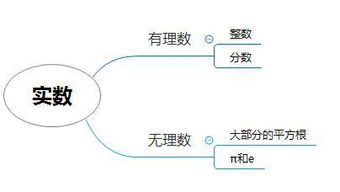 数学思维导图怎么画 