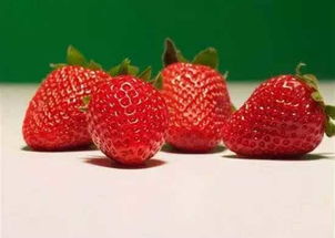 关于草莓的说明文范文
