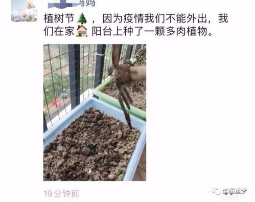 宅家种植 为地球 妈妈 种上迷人的颜色