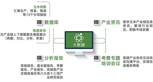 玉米器官建成及功能探讨