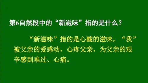 父子之舟的词语解释  父爱之舟，父子之情作者通过什么表达出来？