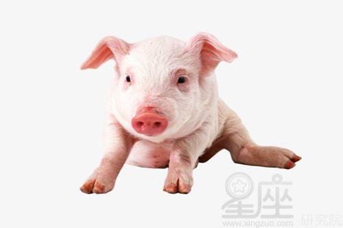 2007年出生的属猪人2021年几岁了