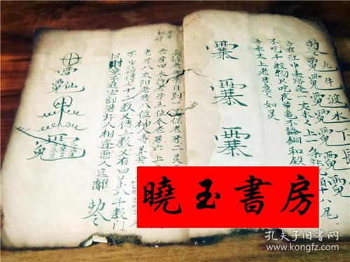 茅山九龍水法辟穀符,茅山符咒有沒有圖書 裡面的符有圖不