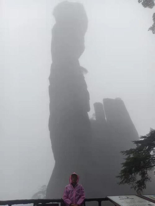 草根墨田原创诗词,三清山,细雨霏霏雾织麻,茫茫一片纺车车