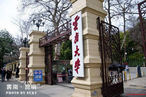 云南的本科大学有哪些学校名单