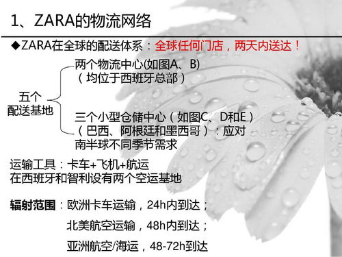 zara供应链毕业论文