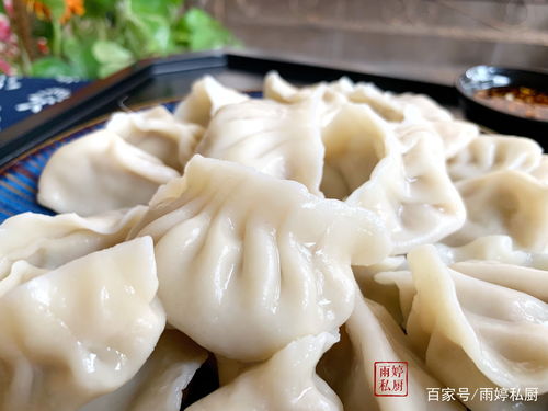 饺子做法大全36种 (各种饺子的做法)