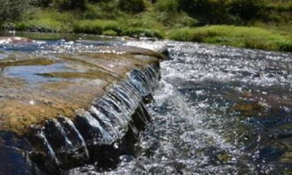 传统风水中 水 主财 是不是每个人都该以五行 水 为财 