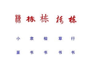 栋的各种字体 