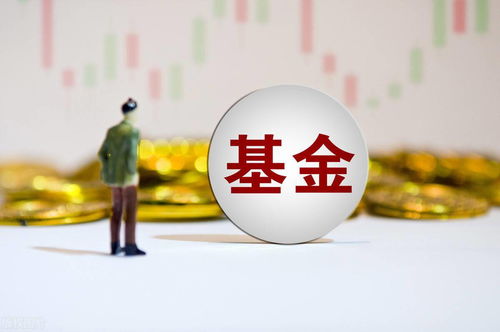 炒股与炒基金的本质区别是什么