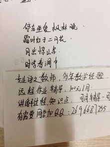 关于诗句运用的题目