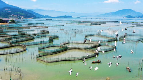 出发吧 像他们一样,看遍祖国大好河山 中国旅游日