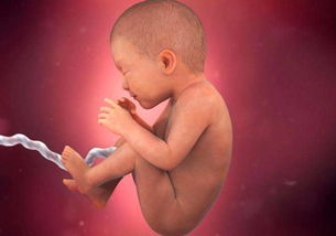 孕妈待产期一般是多久胎盘成熟两级是不是说明快生了