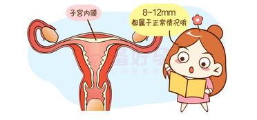 子宫内膜c型什么意思,请教姐妹们