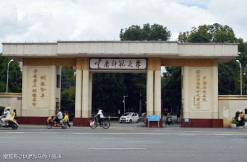 云南省的211大学有哪些