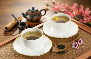 湿热体质的人喝什么茶比较好,湿热体质平时喝茶要泡什么好