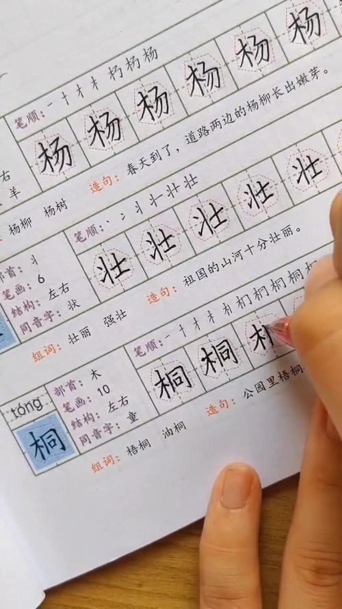 衡水体范文练字文档  衡水体汉字练字技巧？