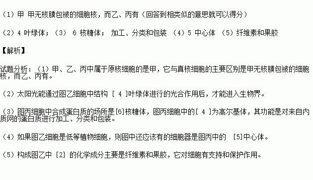 请据图分析完成下列问题 注 内填图中序号.横线上填名称 1 甲.乙.丙中属于原核细胞的是 .它与真核细胞的主要区别是 . 2 太阳光能通过图乙细胞中结构 