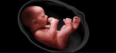 原创孕期出现这些表现，可能是“贫血”了，孕妈不要“影响”胎儿发育