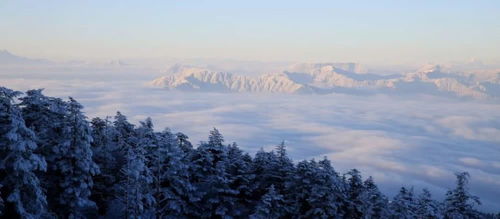 一下雪,峨眉山就成了人间仙境