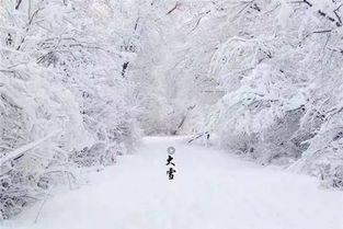 大雪是二十四节气的第几个-图2