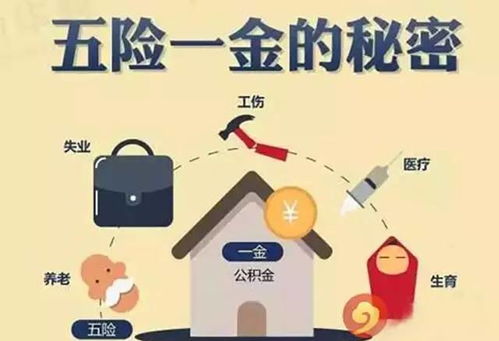 大家说是2500双休五险一金的工作好呢还是3100单休三险的工作好呢？