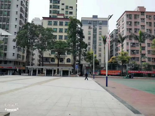 深圳福永稔田社区有免费停车场吗(福田区福保哪里有免费停车场)