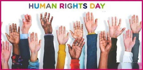 世界人权日 无论是否残障,我们生而自由平等