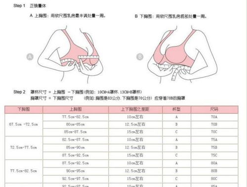 c罩杯有多大直观图 