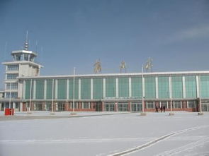 青海格尔木机场安检查获旅客携带子弹50发 