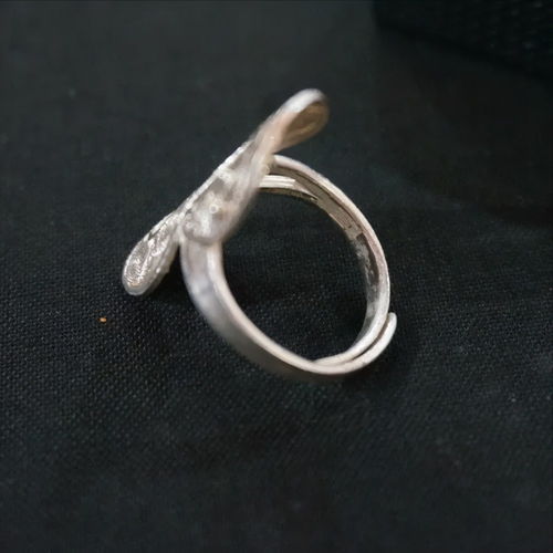 编丝蛇戒指,代表着重生 永恒和非凡生命力