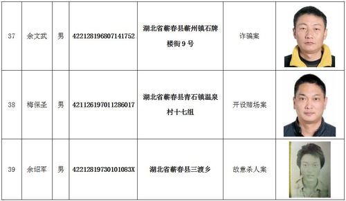 蕲春警方敦促133名在逃人员投案自首 附在逃人员名单