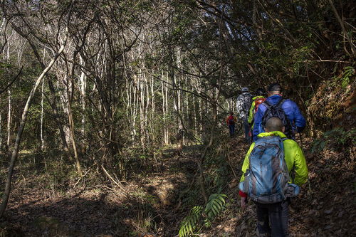 与岁月一道翻山越岭