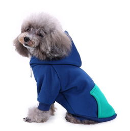 好可爱的几款宠物衣服,暖和舒适,狗狗穿上超可爱 