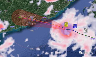 台风黄色预警 今天你别去这些地方