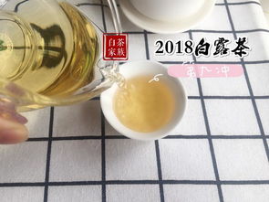 有茶梗的白茶,就是劣质茶吗 喝寿眉的人,只因为买不起好茶