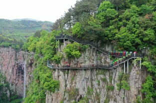 宁波爸妈游 最适合老年人出行旅游的地方,休闲又清凉