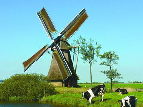荷兰本土牛栏？牛栏荷兰版和爱尔兰版区别